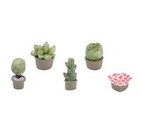 Generic Set di Vasi da Fiori per Casa delle Bambole in Miniatura di 5 Graziose Piante Succulente per la Decorazione della Casa delle Bambole e il Gioco Fantasioso