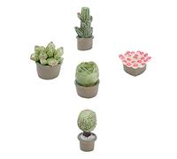 Generic Set di Vasi per Piante Grasse per Casa delle Bambole Piccole Decorazioni Squisite per L'immaginazione e la creatività Nelle Camerette dei Bambini 5 Pezzi