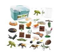 Generic Set Didattico per La Scoperta Della Fauna Selvatica per Bambini - Figure Educative sul Ciclo di Crescita Degli Animali, scatola blu, Taglia unica
