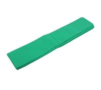 Generic Sfondo Fotografico Fronte-retro in Tessuto Non Tessuto, Sfondo Morbido e Resistente 1,6x3 M per Studi Fotografici e pubblicità (GREEN)
