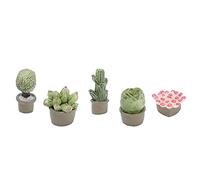 Generic Vasi per Piante Grasse per Case delle Bambole in Miniatura Decorazione Carina e Vivace per Creare Fantasia Nelle Camerette dei Bambini 5 Pezzi