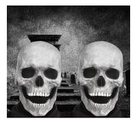 Generico 2025 New Halloween Full Head Skull Mask, Full Head Skull Latex Mask with Movable Jaw for Cosplay Party Props (2pcs*white)