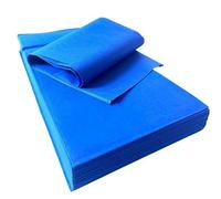 Generico 25 Tovaglie in TNT Tessuto Non Tessuto Misura 100x100cm COPRIMACCHIA 50gr m/q Ideali per la ristorazione sagre feste vari colori (Turchese)