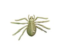 Generico 3D Printed Spider Skeleton, Realistic Halloween Prop for Indoor and Outdoor Décor, Spooky 3D Spider Decoration for Garden, Bedroom, Porch, Haunted House, or Living Room Display