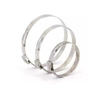 Generico 5-20 pz 5.3-159 millimetri 304 acciaio inossidabile singolo orecchio fascetta stringitubo kit assortimento(105.4-108.6mm(5pcs))