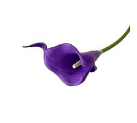 Generico 5 fiori artificiali di calla bianca per bouquet da sposa, decorazione da tavolo per la casa(PURPLE)