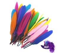 Generico 50 PCS Goose Feathers - Natural Geese 10cm-16cm Mixed Colors