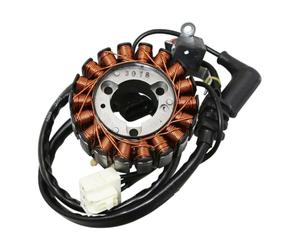 Generico 642054 STATORE Completo Originale Compatibile con Vespa GTS 300 Beverly 125 300