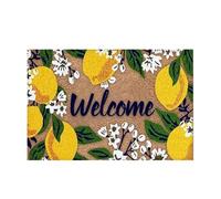 Generico Absorbent Door Mat - Welcome Rug for Entryway | Soft Fabric with Washable Feature, Easy Cleaning Accessory, Room Decor Attachment, Indoor Floor Solution for Kitchen Bathroom