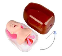 Generico Addestratore per intubazione Infantile, manichino per intubazione pediatrica, addestratore per la Gestione delle Vie aeree tracheali del Bambino e del Neonato