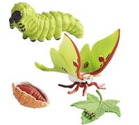 Genérico Animal Life Cycle Figurines Kit - PP| Educational Figures Kit | Simulated Life Cycle Figurines of All Kinds of Realistic Growth Stage Model Toy Set | For Kids Science Aids
