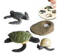 Generico Animal Life Stage Figures - Realistic Growth Model Collection, Educational Transformation Kit, Interactive Teaching Aid Set, Classroom Science Learning Toy | Early Education Support, Biology