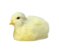 Genérico Animale Ripieno di Pollo - Giocattolo tenero, Carina Piccola Ragazza | Caccia alle uova di Pasqua per bambini Fattoria, Sala di Lusso asilo a tema Cor