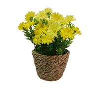 Generico Artificial Flowers in Vase, Silky Artificial Daisy Rattan Pot Bonsai, Faux Flower Arrangement With Vase for Home Offices Decoration, Dining Table Centerpiece