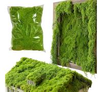 Generico Artificial Moss for Crafts - 12.2 Inch Realistic Faux Moss Mat | 300g ABS Greenery Sheet for Terrarium Planter, Vase Succulents, Home Wall Decor and Wedding Party