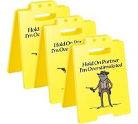 Generico Aspetta Un attimo, Sono sovraeccitato! Segnaletica da scrivania, Decorazione per cubicolo, Regalo Antistress per colleghi, Decorazione Divertente per L'Ufficio per colleghi e Amici (3pcs)