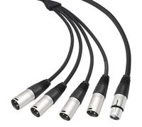 Generico Audio Extension Cable | 1 Female To 4 Male Microphone Adapter