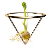Generico Avocado Growing Bracket - Planting Starter Rack | Staffe a Triangolo di Avocado in Metallo | Supporto Triangolare per Supporto per la Coltivazione 'Albero degli Avocados