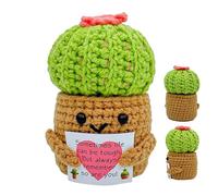Generico Bambola all'Uncinetto Decorativa | Cactus Decorativo Positivo all'Uncinetto | Regalo Completo con Biglietto per Insegnanti Sorelle Mamma e Fidanzata