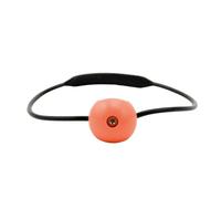 Generico Banger per Bombole da Sub - Sfera da Impatto Portatile | Subacquei Rumorosi per Bombole da Immersione per L'addestramento Subacqueo, Esercizi di Immersione, Immersioni Subacquee, Co