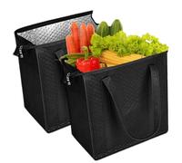 Generico Borse Termiche Isolanti - Set da 2 borse riutilizzabili con cerniera superiore | Sacchetti per la spesa 30 x 18 x 33 cm,Per Cibo, Bevande, Snack, Picnic, Spesa, Spiaggia, Campeggio