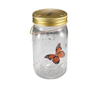 Generico Butterfly Collection Jar - LED Decorative Home Light | PP Glass Material with Battery Powered Motion-Activated Butterfly, Vivid Color Night Light for Room Mall Shop Decor, 17x9.3x9.3cm