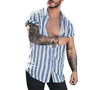 Generico Camicia Uomo Maniche Corte Estate in Lino di Cotone Casual con Scollo a V Co RTE Camicetta Righe per Estiva Beach (Blu, XXL)