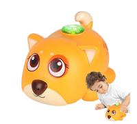 Generico Cane Giocattolo che Cammina per Bambini,Animale Elettrico Educativo Con Musica E | Giocattolo Musicale Elettronico | per Bambini Regalo Compleanno Natale Camera da Playroom Studio Casa