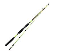 Generico Canna da Pesca Bolentino Seppie Calamari Totani Barca - Eging 2,10Mt 100Gr