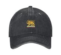 Generico Cappello Iran per Uomo Donna, Leone e Sole Cappellino Trucker con Bandiera persiana d'Iran Vecchio, Berretto da Baseball Regolabile Unisex, Nero Bianco Grigio