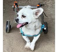 Generico Carrozzina per Animali Domestici per Cani e Gatti di Piccola, Media e Grande Taglia, Carrello Leggero a 2 Ruote per la Mobilità, Supporta Le Zampe Posteriori deboli, stabilità di Fianchi e g