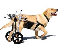 Generico Carrozzina per Cani per Zampe Posteriori - Carrello per la Mobilità dei Cani, Supporto per Zampe Posteriori, deambulatore Regolabile per Animali Domestici con Ruote per la Riabilitazione (Ta