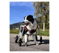 Generico Carrozzina per Cani per Zampe Posteriori - Carrello per la Mobilità del Bassotto di Medie Dimensioni con Quattro Ruote - Attrezzatura Comoda per la Riabilitazione degli Animali Domestici per