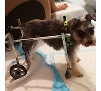 Generico Carrozzina Regolabile per Cani con Zampe Posteriori - Carrello per la Mobilità di Cani di Piccola e Grande Taglia, Perfetto per Animali Domestici feriti e Anziani per ripristinare la mobilit