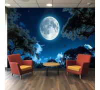 Generico Carta da parati 3D Pwallpaper - Silhouette di foresta al chiaro di luna con pini contro la luna piena e gufi/pipistrelli volanti, Carta da parati in poliestere a tem