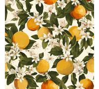 Generico Carta da Parati Autoadesiva Limone Frutta Decorativo Sfondo 44x500 cm Pittura Piante Carta da Parete Adesivo Vinile Tessuti non tessuti Soggiorno Camera Da Letto Bagno