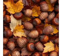 Generico Carta da Parati Autoadesiva Nocciole Pigne Decorativo Sfondo 44x500 cm Bodhi Carta da Parete Adesivo Vinile Tessuti non tessuti Soggiorno Camera Da Letto Bagno