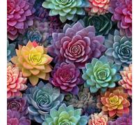 Generico Carta da Parati Autoadesiva Piante Succulente Decorativo Sfondo 44x1000 cm Fiori Colorati Carta da Parete Adesivo Vinile Tessuti non tessuti Soggiorno Camera Da Letto Bagno