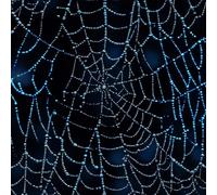 Generico Carta da Parati Autoadesiva Ragnatela Blu Decorativo Sfondo 44x500 cm Cielo Stellato E Sognante Carta da Parete Adesivo Vinile Tessuti non tessuti Soggiorno Camera Da Letto Bagno