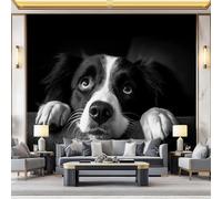 Generico Carta da Parati in Tessuto Non Tessuto Animale Nero Border Collie 400 x 280 cm (W x H) Decorazione da Parete per Camerette, Camere da Letto e Soggiorni