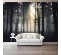 Generico Carta Da Parati In Tessuto Non Tessuto Nero, Sensazione Artistica Foresta All'Alba Nebbia Decorazione Per Camera Da Letto Soggiorno Ufficio Corridoio Dimensioni 300 x 210 cm（WxH