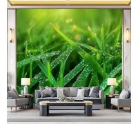 Generico Carta da Parati Non Tessuta Natura Piante Erba Rugiada Tema, Ideale per Soggiorno Parete TV, 200 x 140 cm Verde Carta da Parati Facile da Installare e Rimovibile, Superficie Liscia