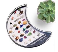 Generico Cassapanca per minerali: vetrina per gemme, contenitore per presentazione di gioielli | di organizzazione 'assortimento di pietre naturali dei, set di disposizioni per la conservazi