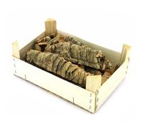 Generico Cassetta 1 kg Sughero Corteccia presepe Box pezzi assortiti varie misure per presepio Napoletano casolari decorazione