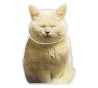 Genérico Cat - Car Dashboard Cat, Auto Dashboard Ornament, Dashboards Cats Ornament | Cute Shaking Head Acrylic Figure For Car, Desk & Home Décor, Auto Interior Decoration Accessory