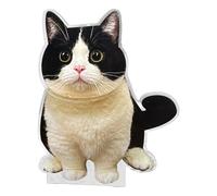 Genérico Cat - Car Dashboard Cat, Auto Dashboard Ornament, Dashboards Cats Ornament | Cute Shaking Head Acrylic Figure For Car, Desk & Home Décor, Auto Interior Decoration Accessory