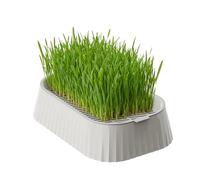 Generico Cat Grass Planter - ABS 19x12.5x5cm | Compact 2-Tier Removable Reusable Tray | Indoor Outdoor Cat Grass Pot for Home Countertop Pet Kitten Family Friends Crafted Planter.
