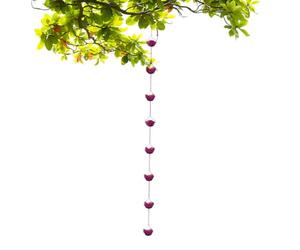 Genérico Catena da pioggia decorativa - Catena decorativa di rose per raccogliere l'acqua piovana per esterni, di scarico resistente per grondaie, decorazione per giardino, casa, capannone e casa