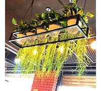 Generico Cesto portafiori sospeso Galleggiante con Catena in Metallo - Elegante Contenitore per Cucina e Wine Bar, Perfetto per esporre vasi di Fiori sul soffitto, Ideale per l'arredamento e l'organi