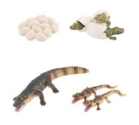 Generico Ciclo di vita degli animali per bambini Decor